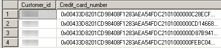 Dataset with encrypted column (Credit card number)