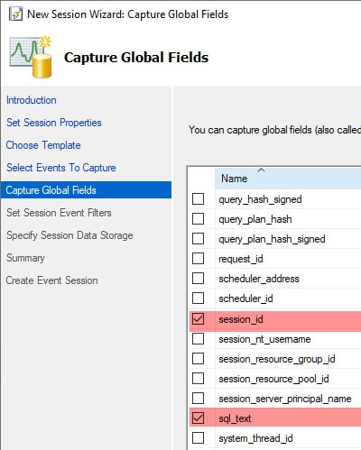 Figure 5 - Choosing Global Fields to capture