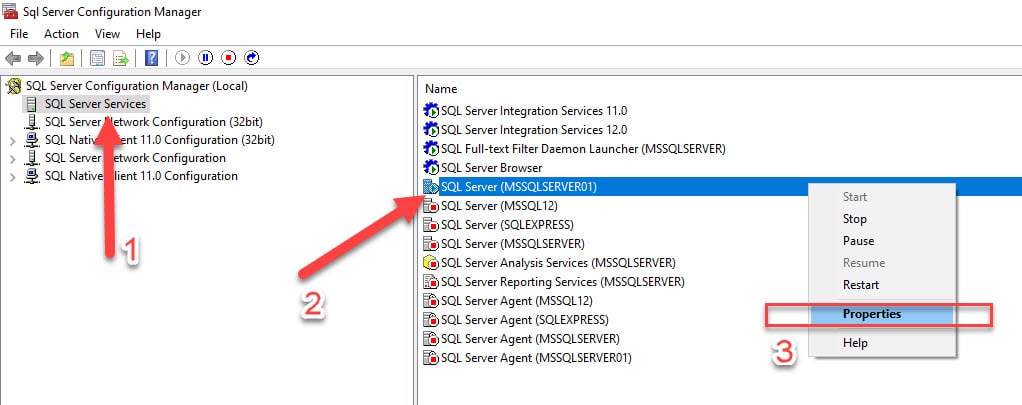 Figure 1 - SQL Engine startup settings